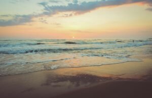 Along the Atlantic Shore