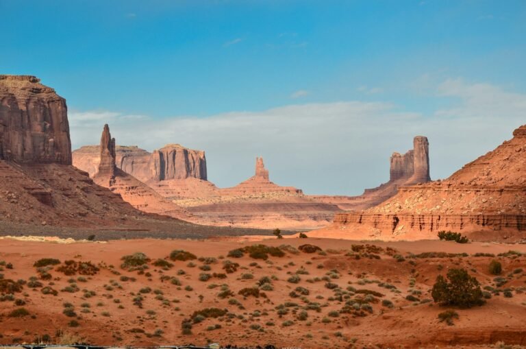 Notes from a Desert Landscape